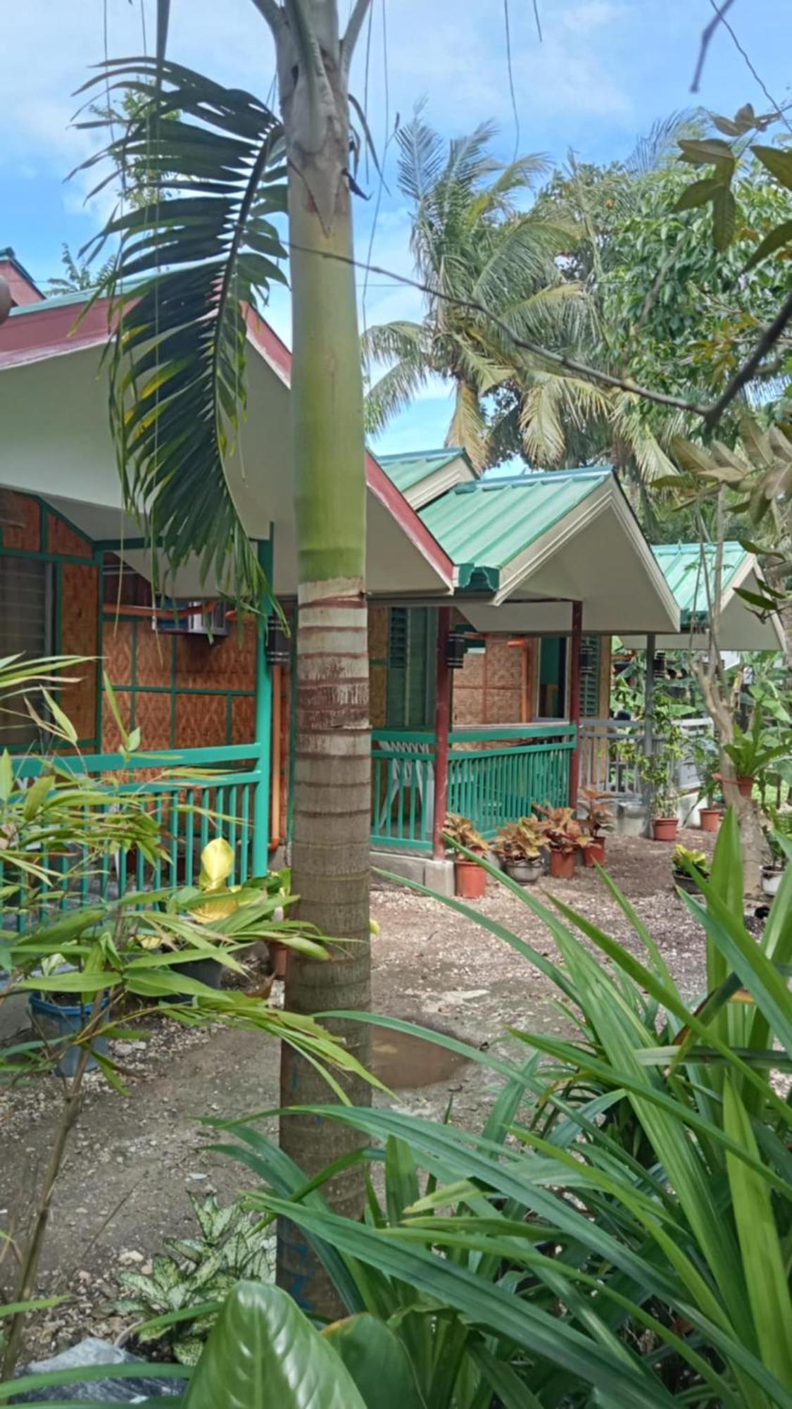 Bohol Triple M Tourist Inn Tagbilaran Extérieur photo